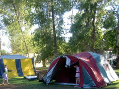 BIG4 Forbes Holiday Park - Accommodation QLD 2