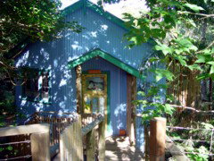 Blue Poles Cafe, Gallery & B&B - Accommodation QLD 0