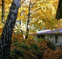 Bogong Village - Accommodation QLD