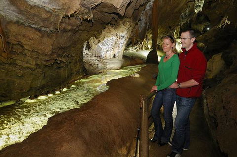 Buchan Caves Reserve - Accommodation QLD 2