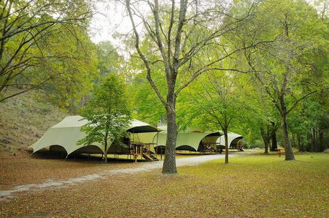 Buchan Caves Reserve - Accommodation QLD 0