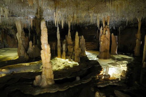 Buchan Caves Reserve - Accommodation QLD 3