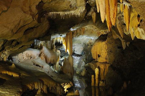 Buchan Caves Reserve - Accommodation QLD 4