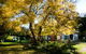 Buffalo Motel And Country Retreat - thumb 5
