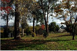 Buffalo Motel And Country Retreat - Accommodation QLD 8