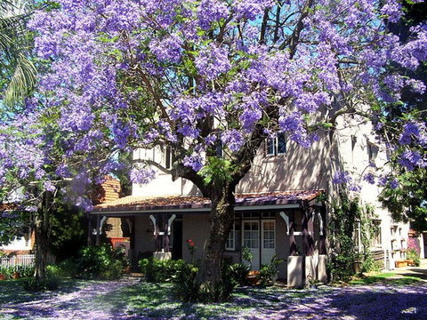 Callam Court - Accommodation QLD 0