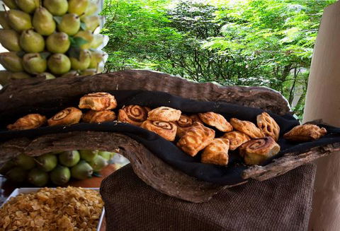 Cedar Creek Lodges At Thunderbird Park™ - Accommodation QLD 9