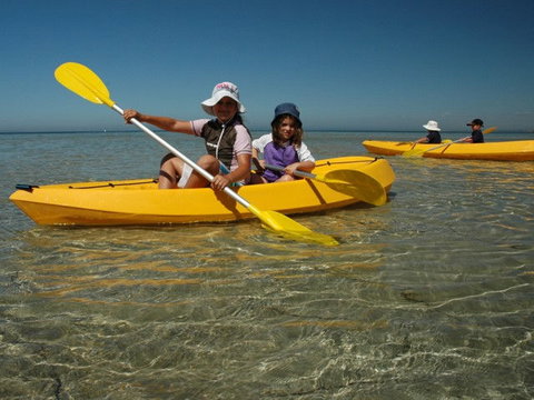 Ceduna Shelly Beach Caravan Park - Accommodation QLD 4
