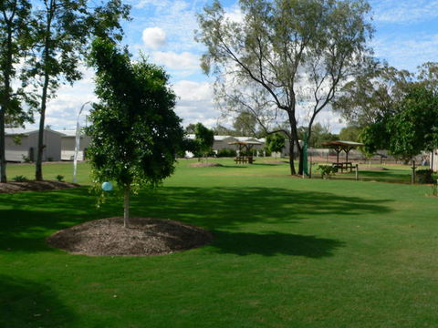 Chinchilla Tourist Park - Accommodation QLD 2