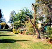 Condamine River Caravan Park - Accommodation QLD