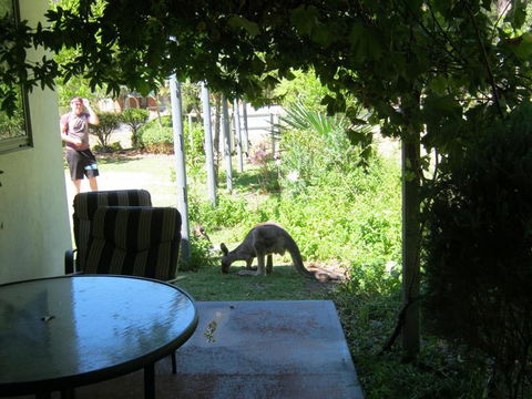 Tim's Place - Accommodation QLD 2