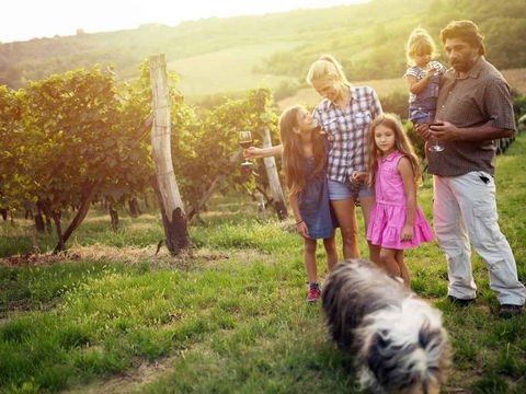 Ipswich Caravan Village - Accommodation QLD 3