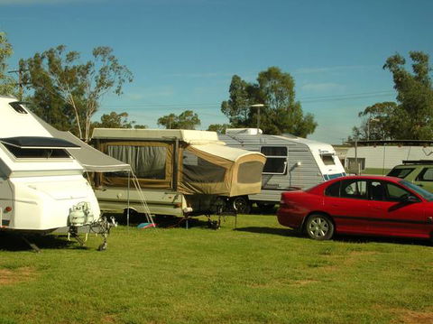 Crocodile Caravan  & Camping Park - Accommodation QLD 0