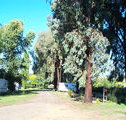 Cudal Caravan Park - Accommodation QLD