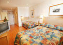 Haven Glebe, Sydney - Accommodation QLD 3