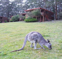 Jenolan Caves Cottages - Accommodation QLD