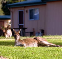 Kalgan River Chalets  Caravan Park - Accommodation QLD