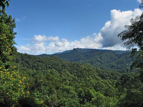 Kallora Escape Bed & Breakfast - Accommodation QLD 5