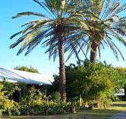 Merino Motor Inn - Accommodation QLD