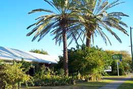 Merino Motor Inn - Accommodation QLD 0