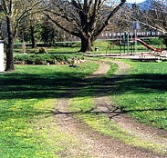 Mongans Bridge Camping Park - Accommodation QLD