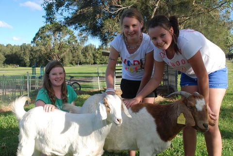 Mountain View Resort - Accommodation QLD 1