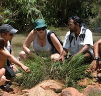 Nitmiluk Tours  Accommodation - Accommodation QLD