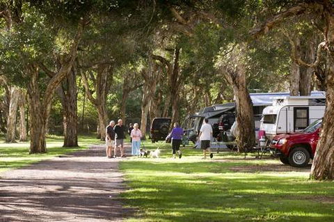North Coast Holiday Parks Beachfront - Accommodation QLD 2