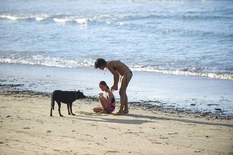 North Coast Holiday Parks Scotts Head - Accommodation QLD 2