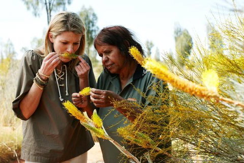 Outback Pioneer Hotel - Accommodation QLD 6