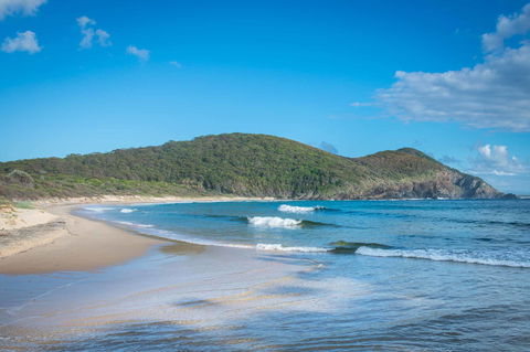 Pacific Palms Resort - Accommodation QLD 9