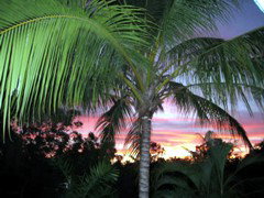 Palmerston Sunset Retreat - Accommodation QLD 4