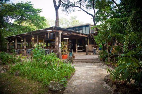 Cape York Camping Punsand Bay - Accommodation QLD 9