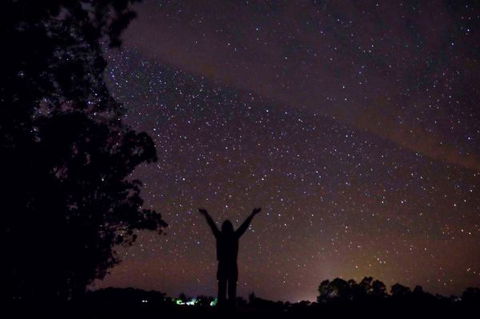 Childers Eco-lodge - Accommodation QLD 5