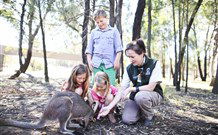 Billabong Camp, Taronga Western Plains Zoo, Dubbo - Accommodation QLD 5