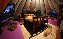 Aranyani Bison Adventure Tourist Park - Accommodation QLD 0