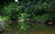 Aranyani Bison Adventure Tourist Park - Accommodation QLD 3