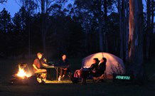 Aranyani Bison Adventure Tourist Park - Accommodation QLD 2