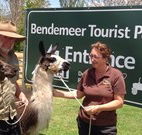 Bendemeer Tourist Park - Accommodation QLD