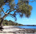 Currarong Beachside Holiday Park - Accommodation QLD