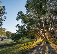 Delicate campground - Accommodation QLD