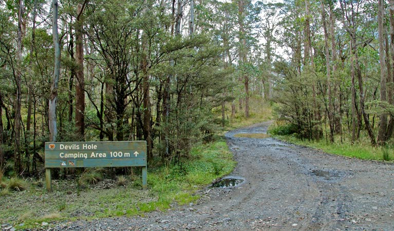 Barrington Tops NSW Accommodation QLD