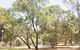 Riverton Caravan Park - thumb 0