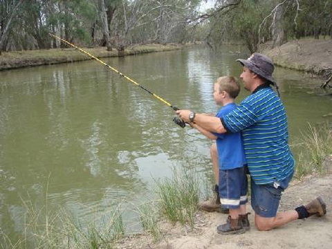 Riverview Caravan Park - Accommodation QLD 4