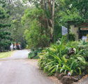 Tamborine Mountain Caravan  Camping - Accommodation QLD