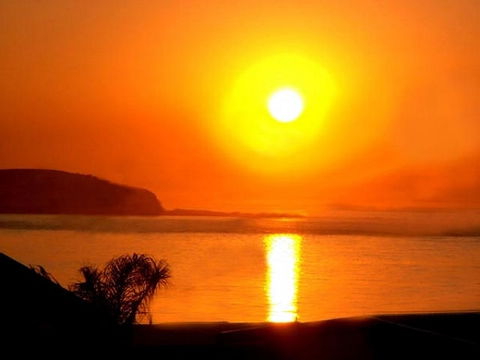 The Black Dolphin - Accommodation QLD 2