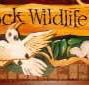 Wave Rock Hotel Motel - Accommodation QLD