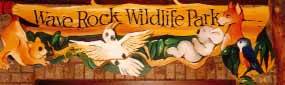 Wave Rock Hotel Motel - Accommodation QLD 0