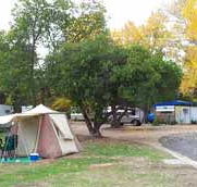 Wedderburn Pioneer Caravan Park - Accommodation QLD