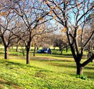 Wellington Caves Caravan Park - Accommodation QLD